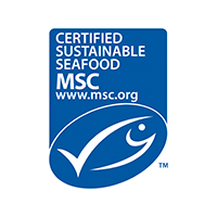 msc logo 1