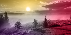 Mindfulness Mindfulness