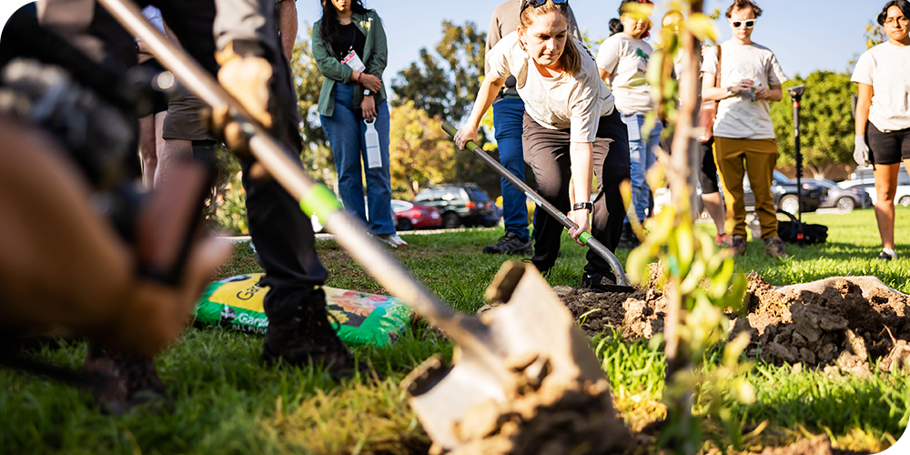 SB'25 - Tree Planting