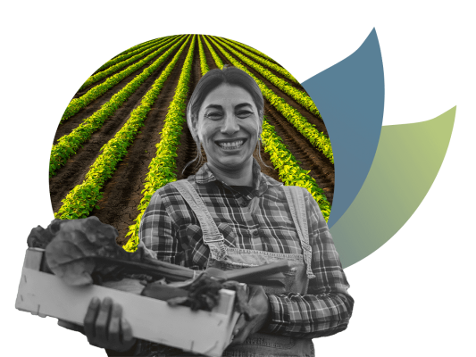 RegenAg_Header2 RegenAg_Header2