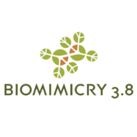 Biomimicry 3.8